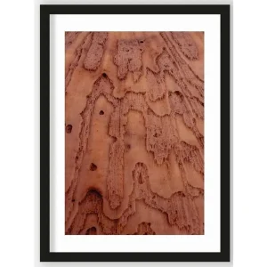 Betaalbaar Art Print Layered Pink Brains